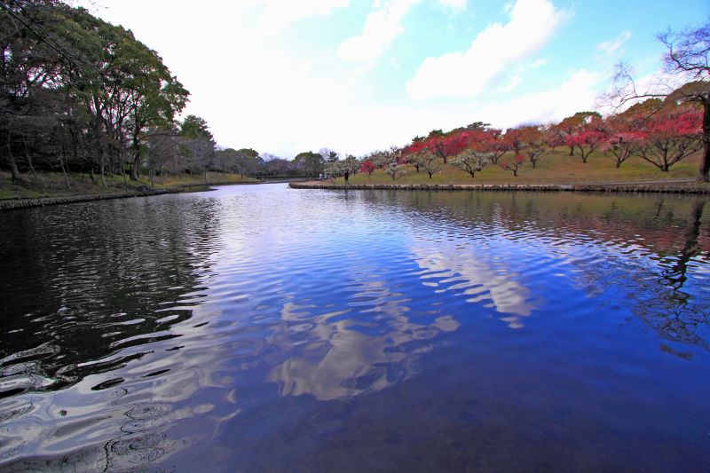 緑ヶ丘_003.jpg