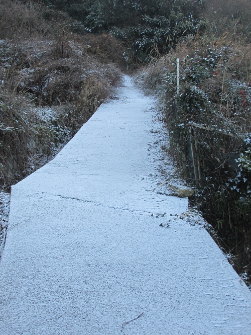 休山登山道路近道