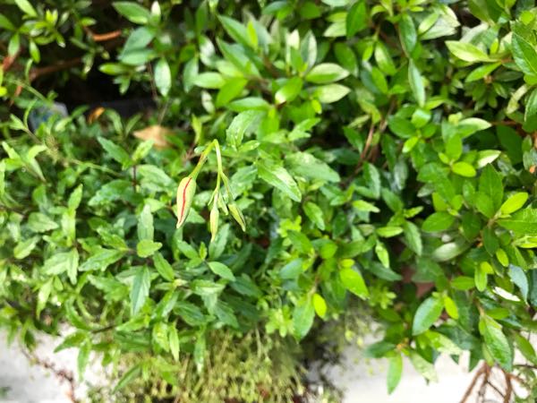 rblog-20180429182659-05.jpg