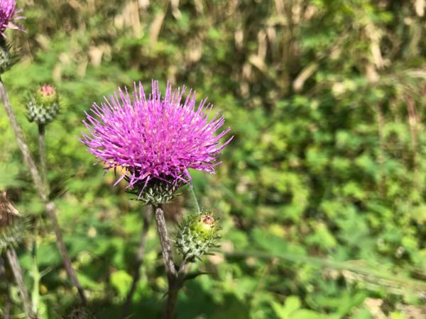 rblog-20170929122708-04.jpg