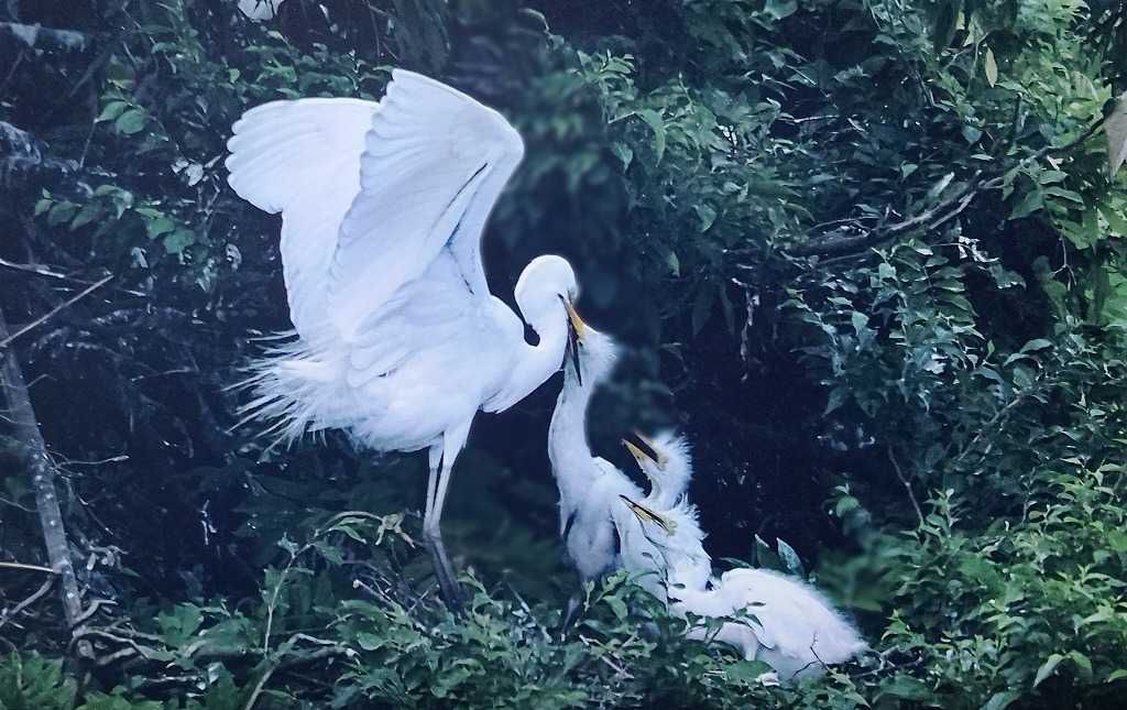笑う門には健康来るヽ(^o^)丿