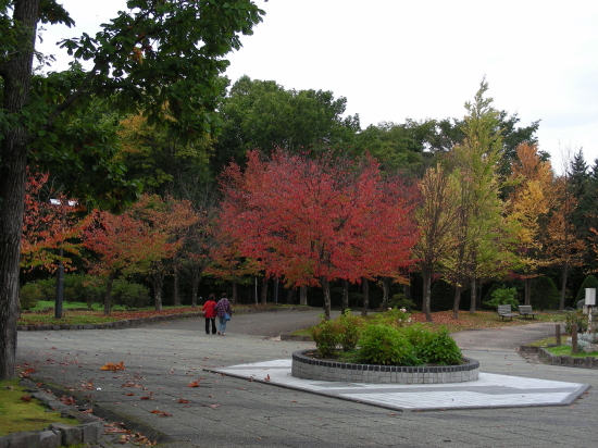 2017-09-27mori (1).JPG