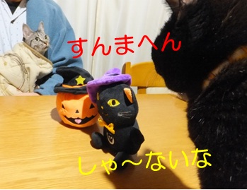 20121101_4.jpg