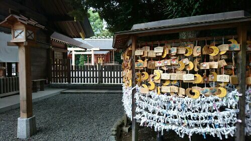 rblog-20171011001357-00.jpg