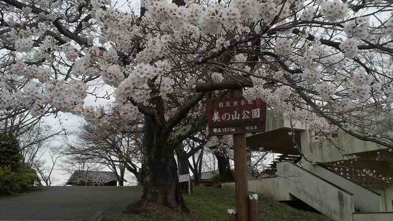 蓑山山頂。