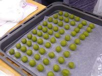 P1090049