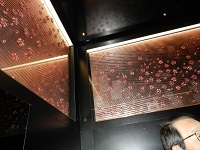 DSCN0830.JPG