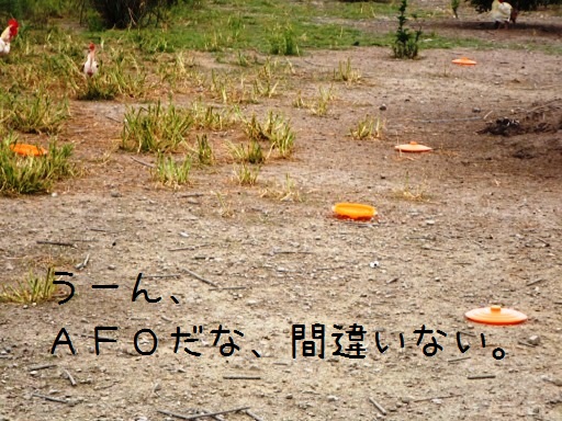 こりゃＡＦＯだわ.jpg