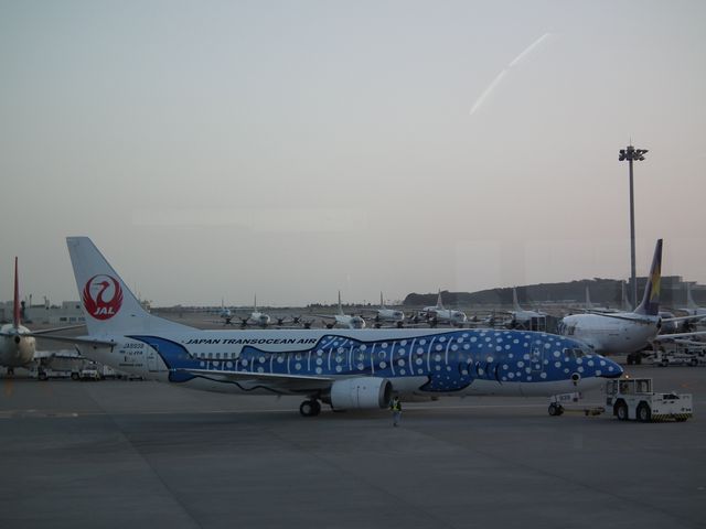 DSCF9291.JPG