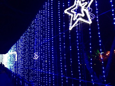miyagase illumination09
