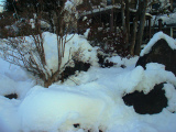 DSC07801.jpg