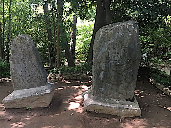 rblog-20180515224923-01.jpg