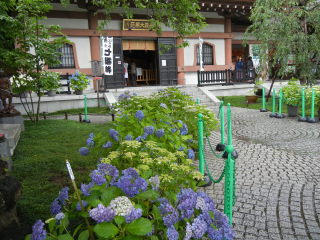 DSCN1127.JPG