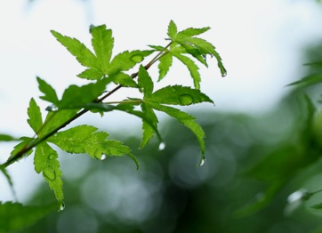 2012_0~2.JPG