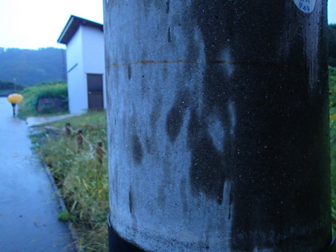 nitijou131011002
