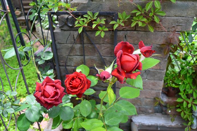 DSC_0674.JPG