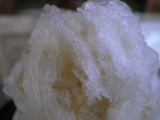 RIMG15519.JPG