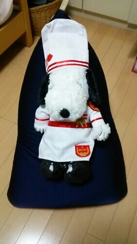 rblog-20170114205849-01.jpg