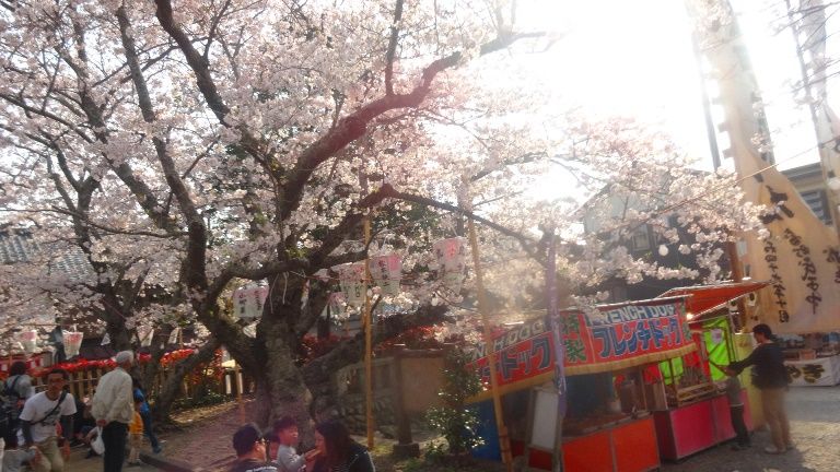 遠州横須賀三熊野神社大祭２０１９ 5 祭大王 楽天ブログ 楽天ブログ