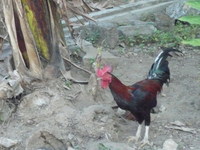 P1030030