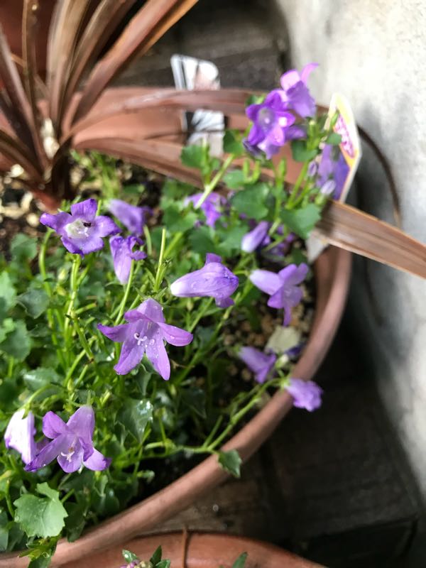 rblog-20180429182853-01.jpg
