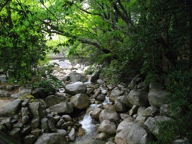 湯の山温泉近くの川