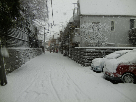 雪景色