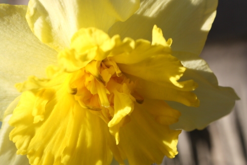 20160414004.JPG