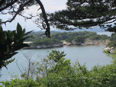 松２４寒.jpg