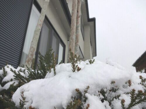 rblog-20160124114345-01.jpg