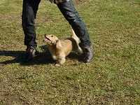20121016150635[1].jpg