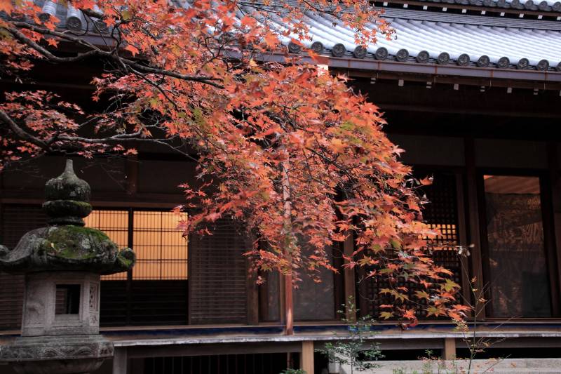 常寂光寺_008.jpg
