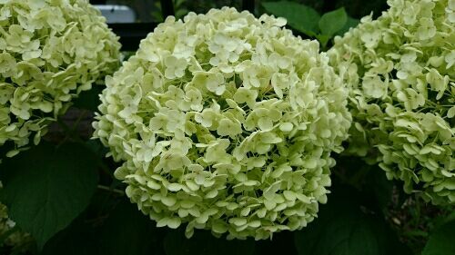 rblog-20170704182818-04.jpg
