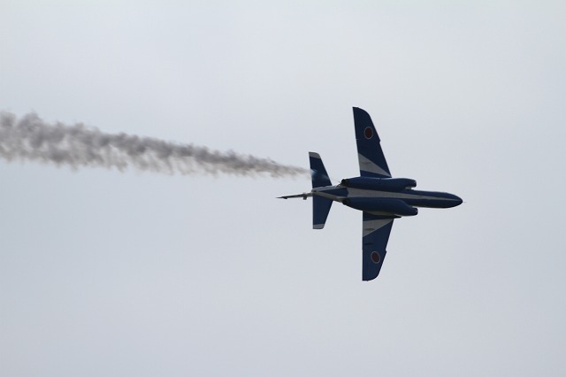 IMG_3568.jpg
