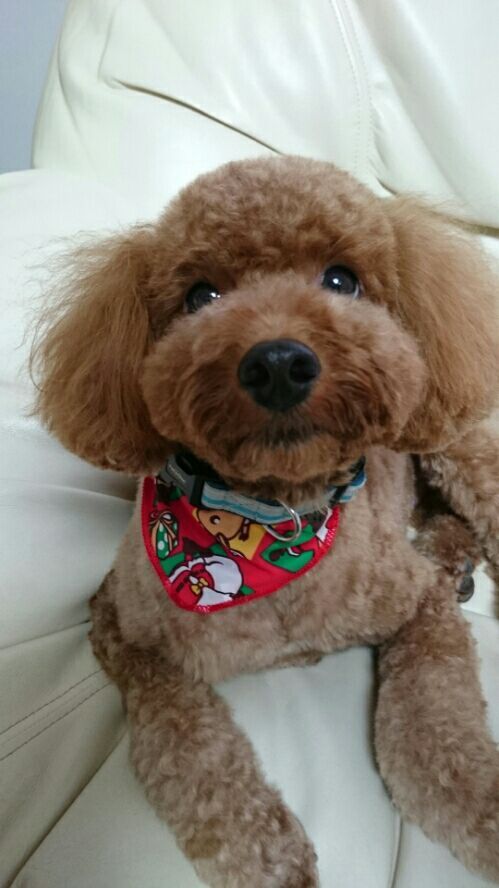 rblog-20161201231309-01.jpg