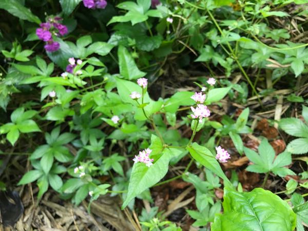 rblog-20170929122708-02.jpg
