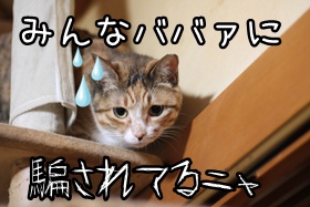 画像 165.jpg