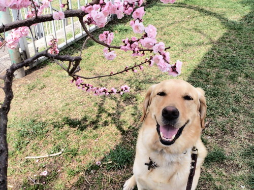公園2.jpg