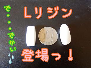 リジン.JPG