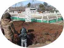 20120219_馬.JPG