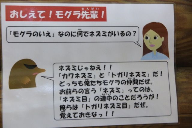 多摩動物公園に行ってきました 単身赴任メモランダム別館 楽天ブログ