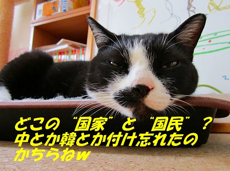 どこの国家と国民？.jpg