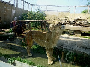 20120428(36).jpg