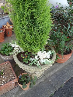 DSC04276.jpg