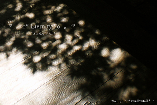Photo by swallowtail　B.jpg