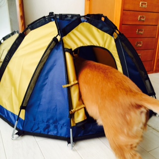 購入　買った　レビュー　ペット用 テント 簡易組立式 キャリーバッグ　DODECA HEDRON TENT ドデカヒードロン