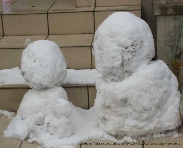 緊急日記～福岡の大雪 その1 | 今日の予定 - 楽天ブログ