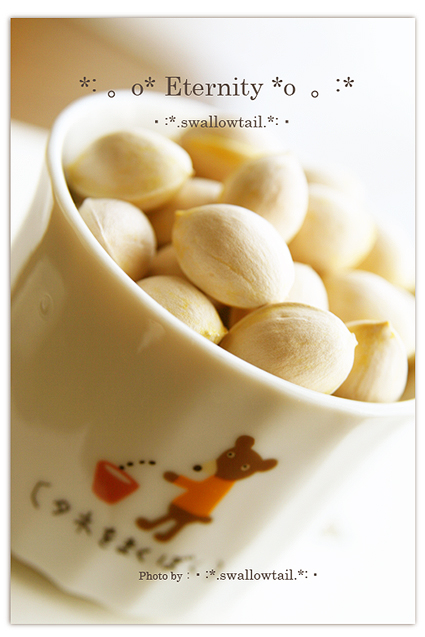 Photo by swallowtail　C.jpg