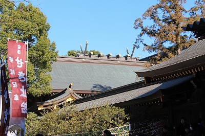 IMG_9826.jpg