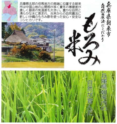 moromimai2